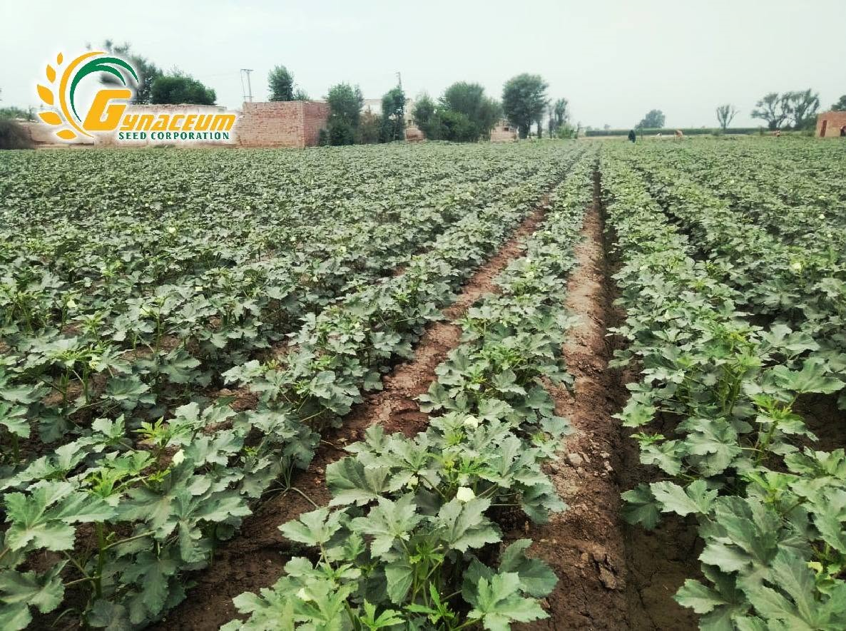Scientific Crop Breeding
