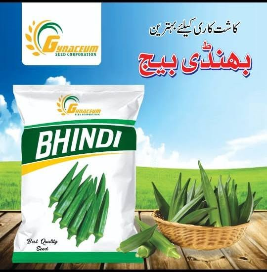 Wheat Seeds